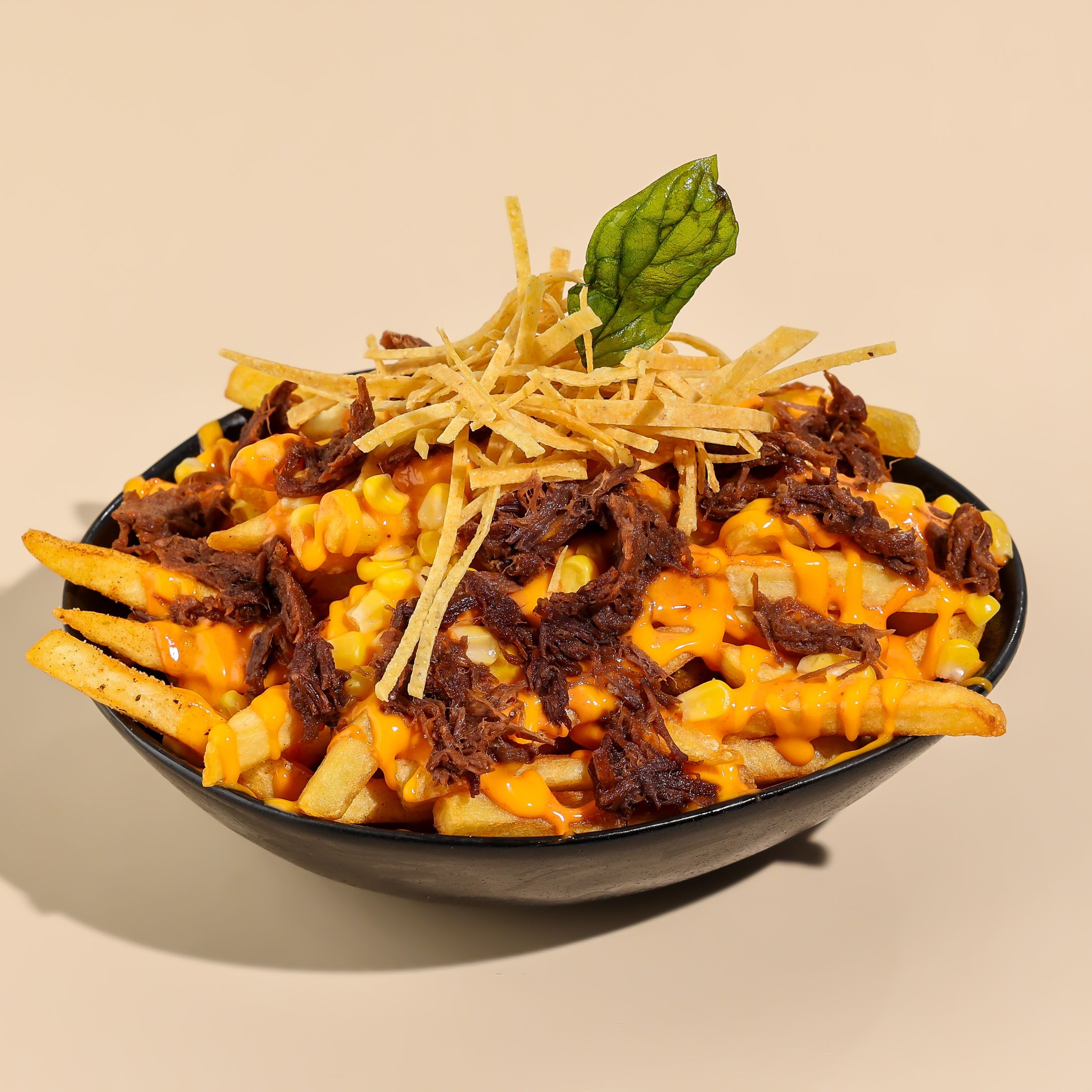 Brisket Fries